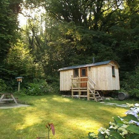 'Morris' The Shepherd'S Hut With Woodland Hot Tub Carmarthen Eksteriør billede