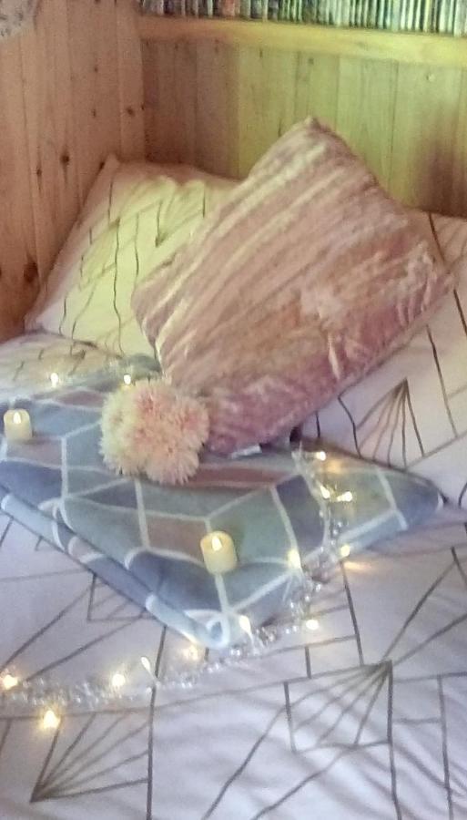 'Morris' The Shepherd'S Hut And Woodland Hot Tub Experience Carmarthen Eksteriør billede
