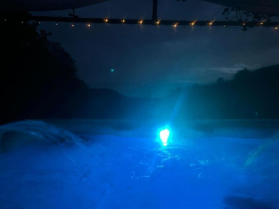 'Morris' The Shepherd'S Hut And Woodland Hot Tub Experience Carmarthen Eksteriør billede