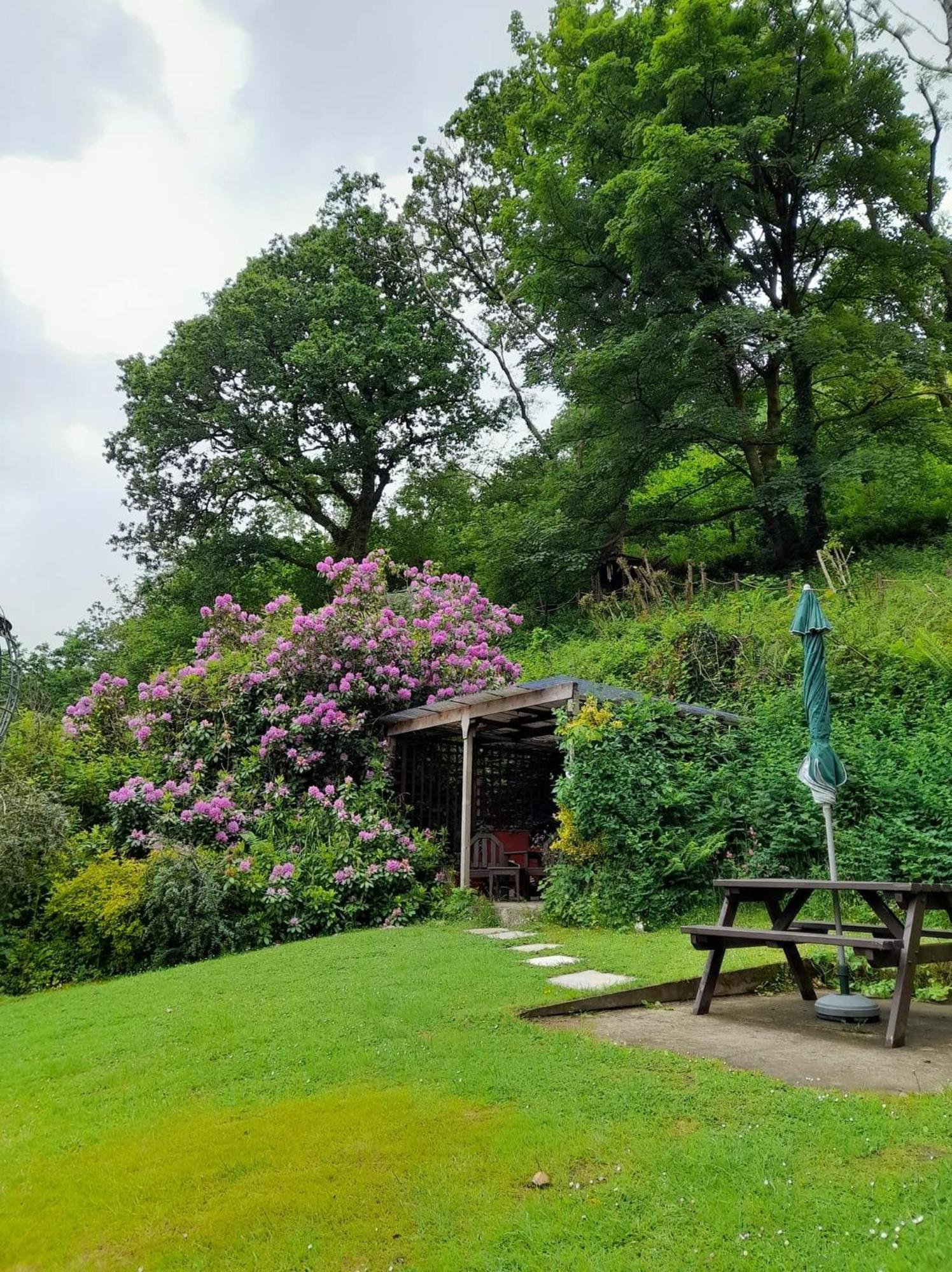 'Morris' The Shepherd'S Hut And Woodland Hot Tub Experience Carmarthen Eksteriør billede
