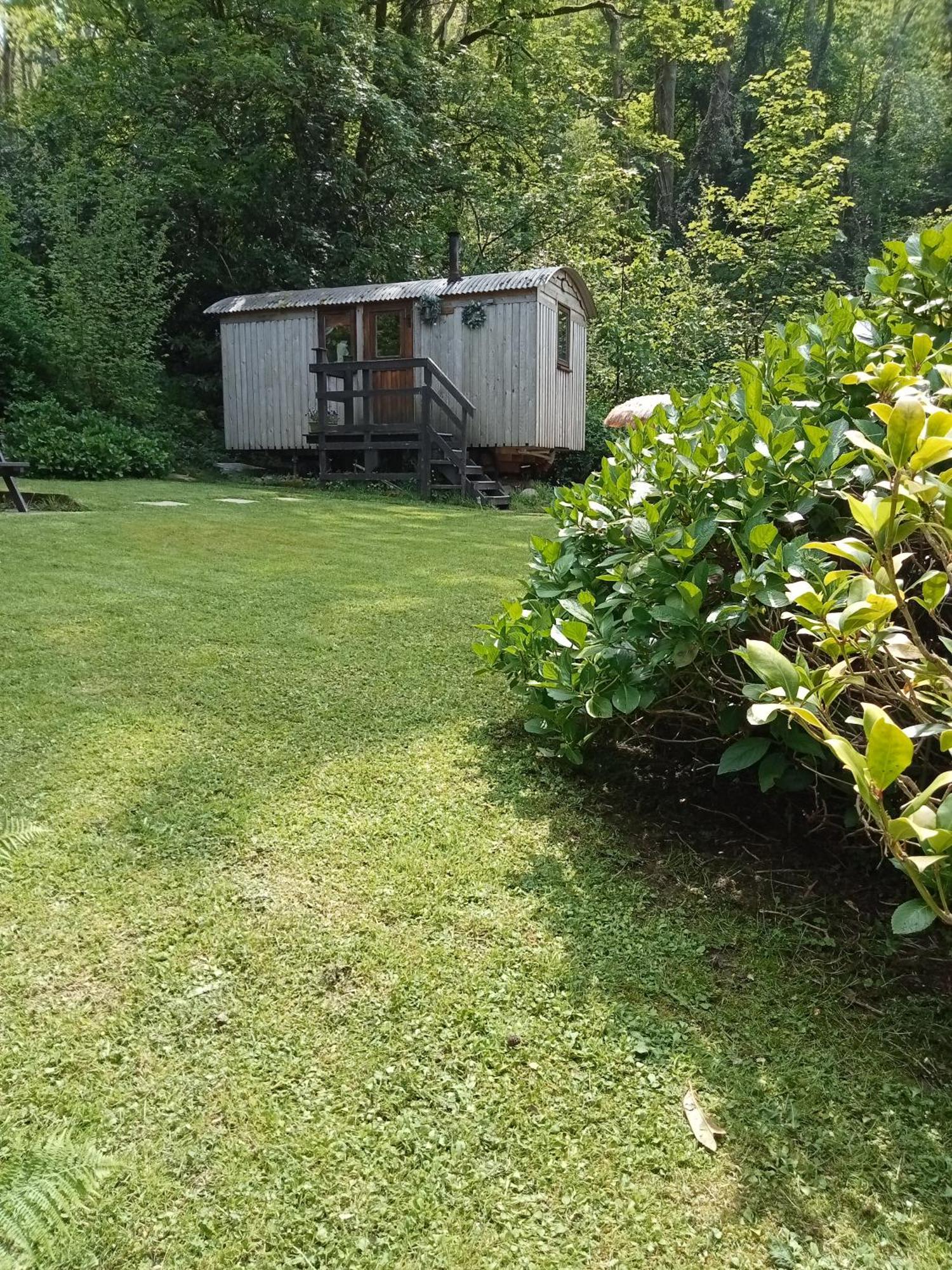 'Morris' The Shepherd'S Hut And Woodland Hot Tub Experience Carmarthen Eksteriør billede