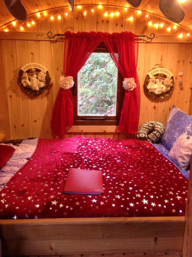 'Morris' The Shepherd'S Hut And Woodland Hot Tub Experience Carmarthen Eksteriør billede