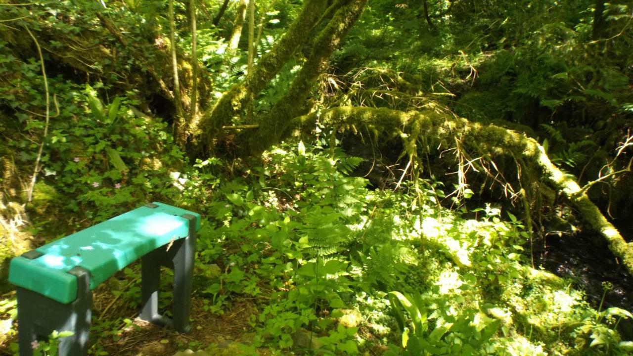 'Morris' The Shepherd'S Hut With Woodland Hot Tub Carmarthen Eksteriør billede