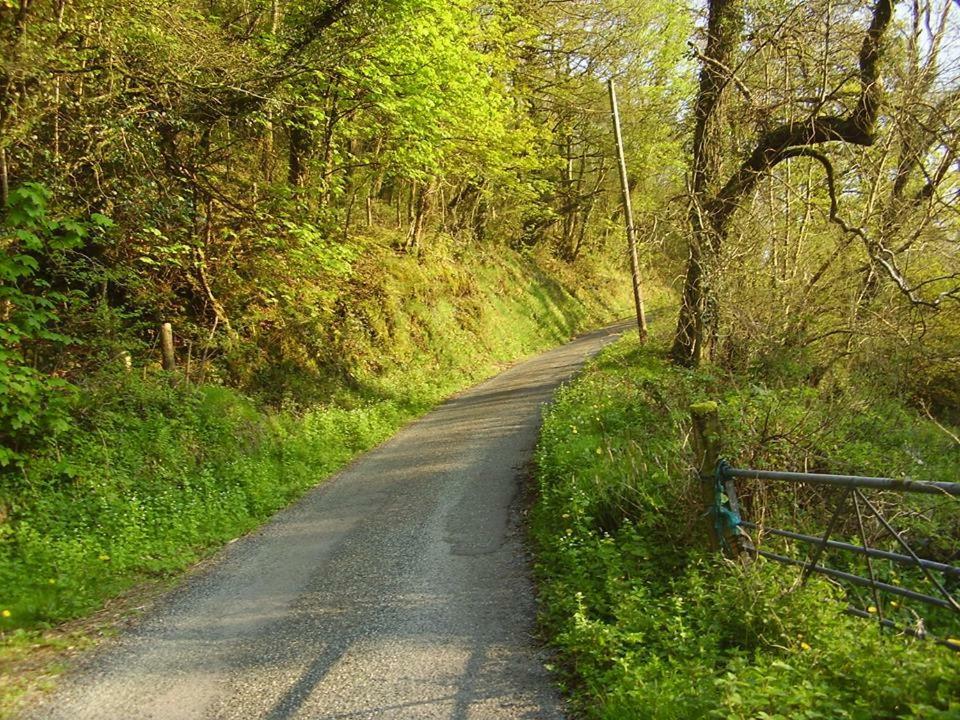'Morris' The Shepherd'S Hut And Woodland Hot Tub Experience Carmarthen Eksteriør billede