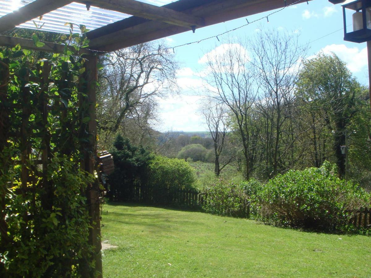 'Morris' The Shepherd'S Hut And Woodland Hot Tub Experience Carmarthen Eksteriør billede