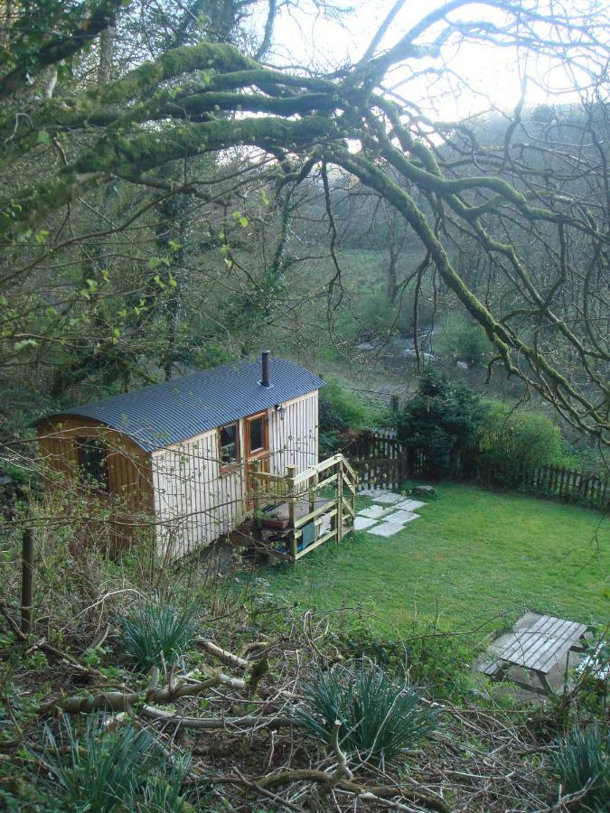 'Morris' The Shepherd'S Hut With Woodland Hot Tub Carmarthen Eksteriør billede