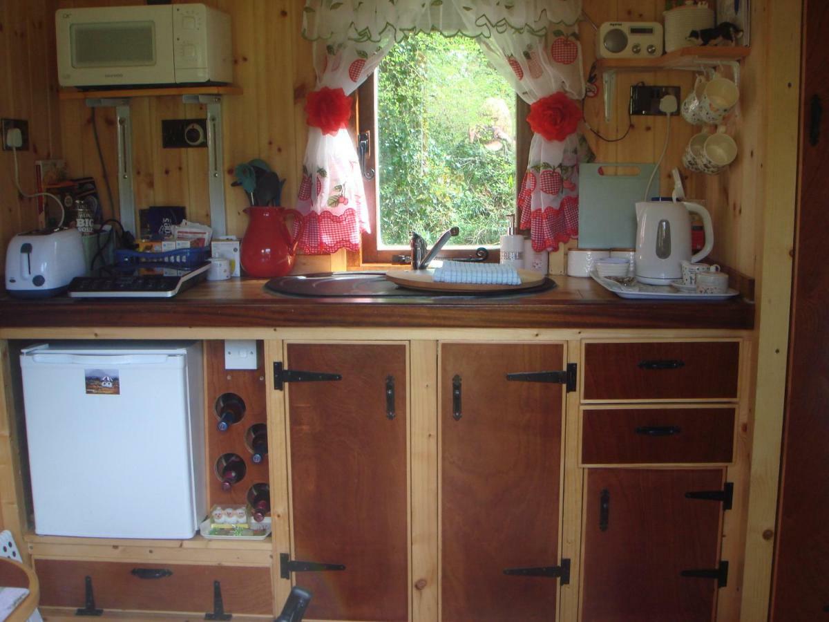 'Morris' The Shepherd'S Hut With Woodland Hot Tub Carmarthen Eksteriør billede