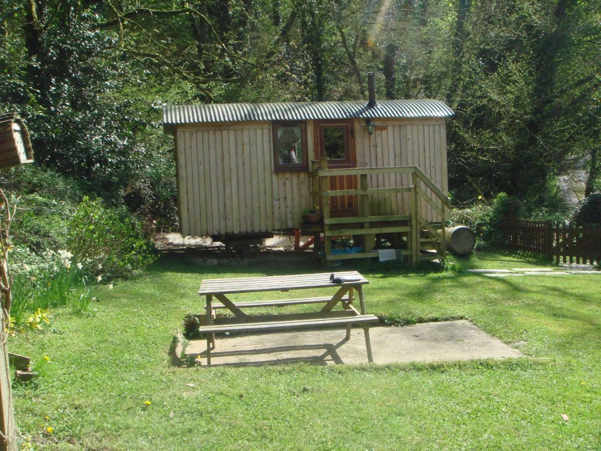 'Morris' The Shepherd'S Hut With Woodland Hot Tub Carmarthen Eksteriør billede