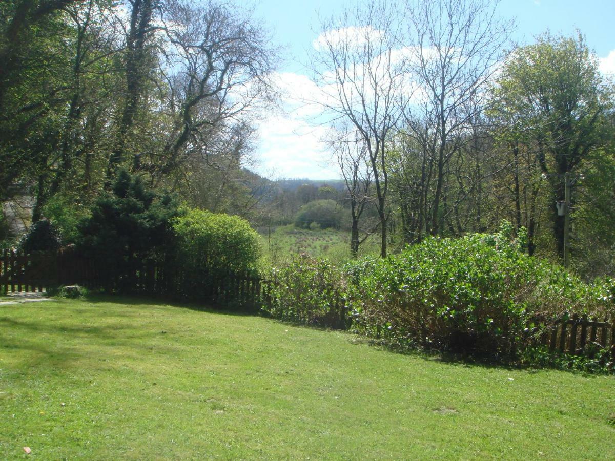 'Morris' The Shepherd'S Hut And Woodland Hot Tub Experience Carmarthen Eksteriør billede