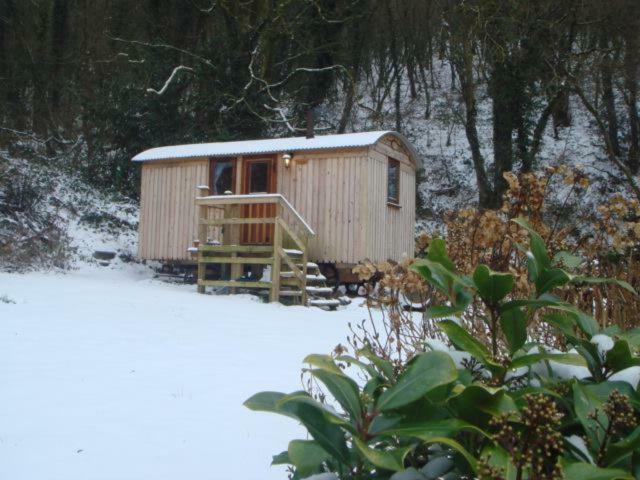 'Morris' The Shepherd'S Hut And Woodland Hot Tub Experience Carmarthen Eksteriør billede