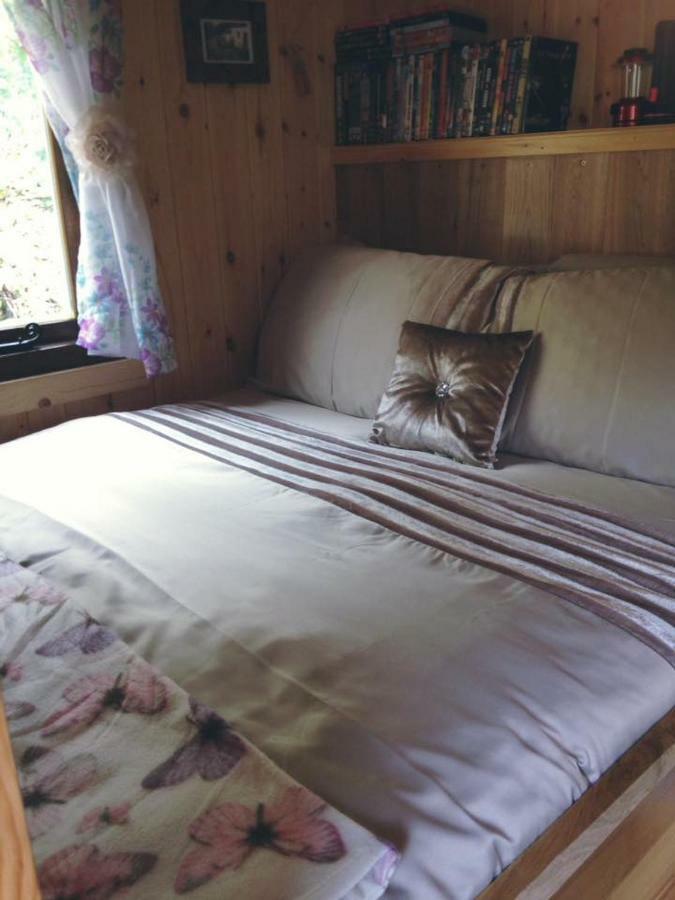 'Morris' The Shepherd'S Hut With Woodland Hot Tub Carmarthen Eksteriør billede