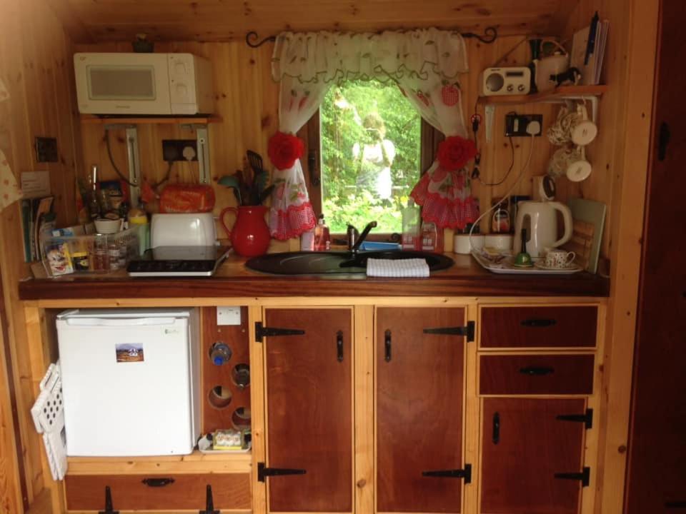 'Morris' The Shepherd'S Hut And Woodland Hot Tub Experience Carmarthen Eksteriør billede
