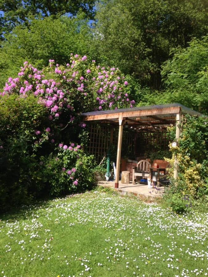 'Morris' The Shepherd'S Hut With Woodland Hot Tub Carmarthen Eksteriør billede