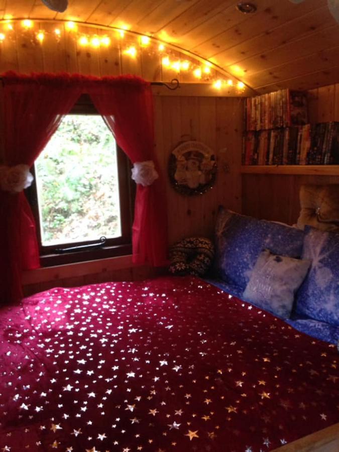 'Morris' The Shepherd'S Hut With Woodland Hot Tub Carmarthen Eksteriør billede