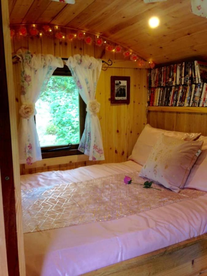 'Morris' The Shepherd'S Hut With Woodland Hot Tub Carmarthen Eksteriør billede