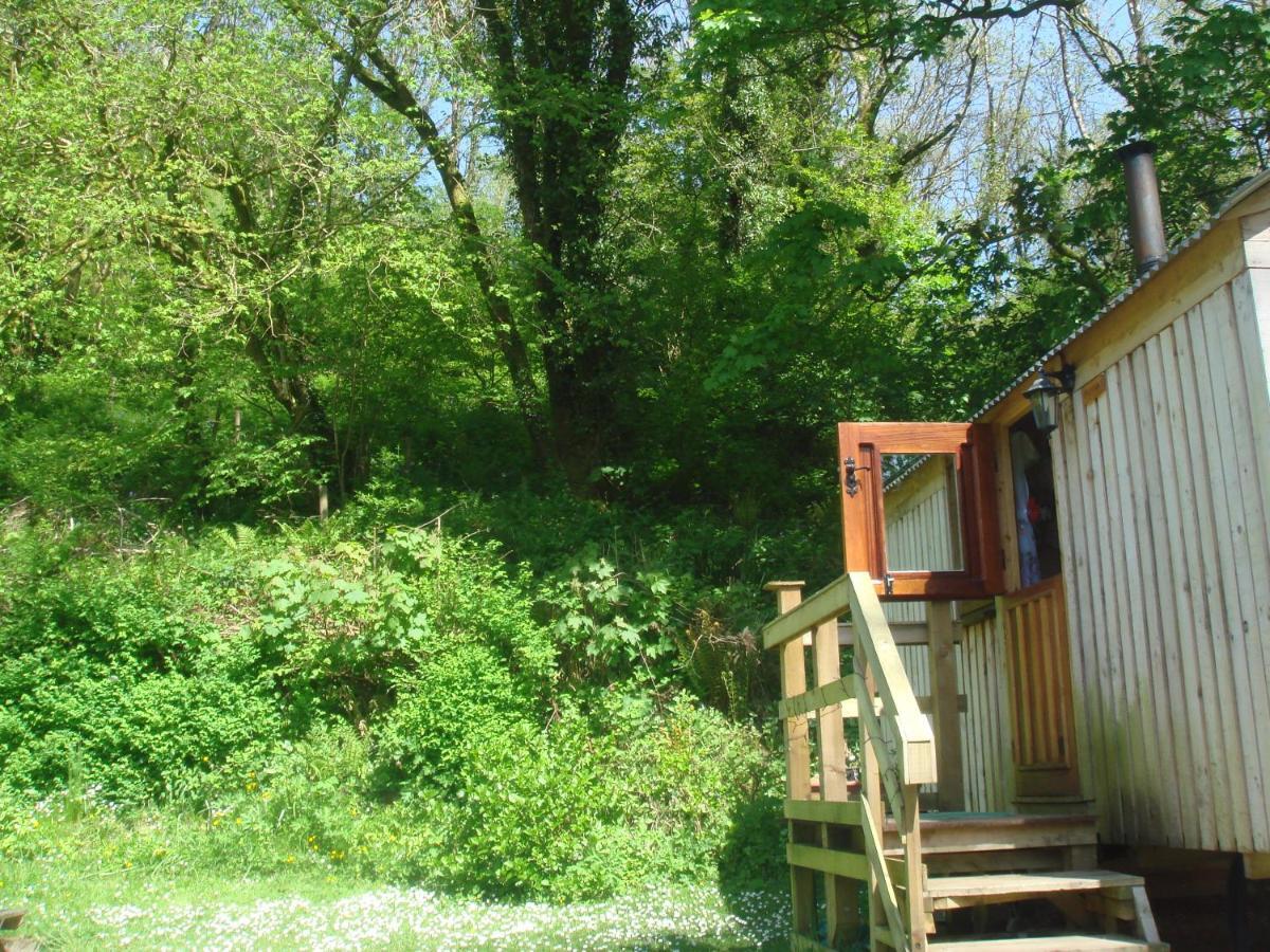 'Morris' The Shepherd'S Hut With Woodland Hot Tub Carmarthen Eksteriør billede